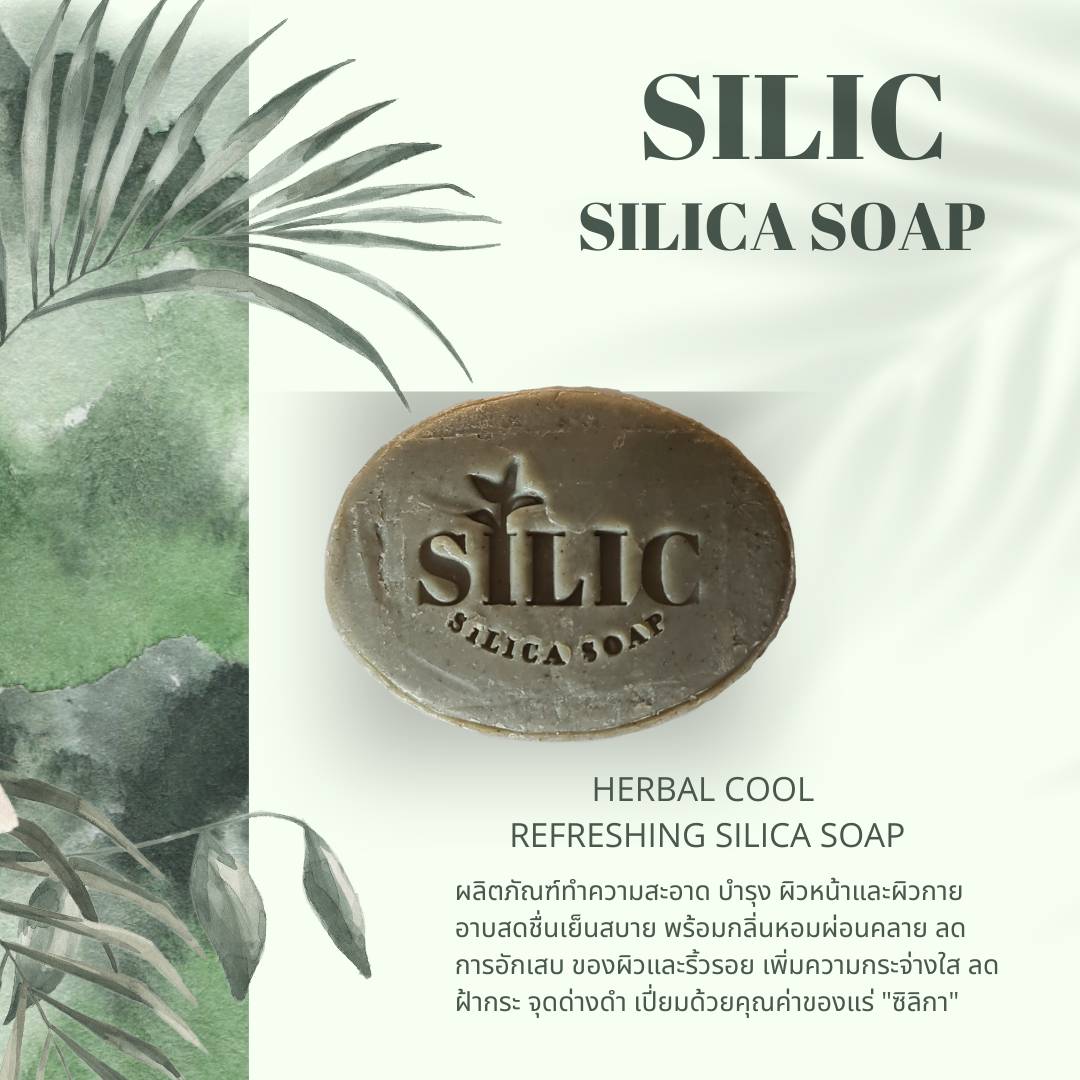 Silic Silica Soap